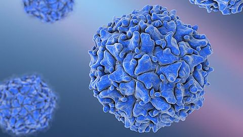 Poliovirus aangetroffen in riool RIVM-terrein