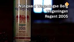 Test: Rode Nederlandse wijn
