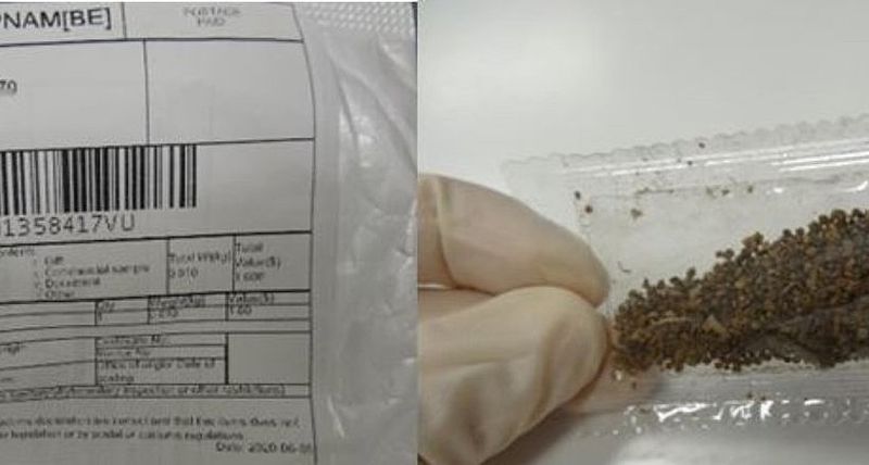 NVWA: Onbekend pakketje met plantenzaad ontvangen? Meld dit direct