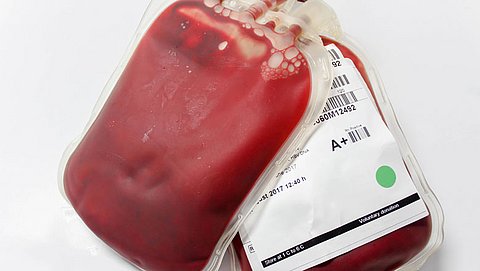 Wat zegt je bloedgroep over jou?