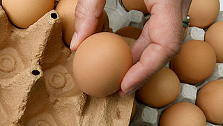 Nog geen besluit in zaak fipronil-eieren