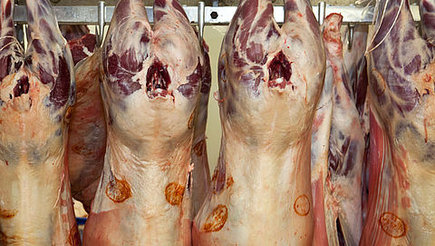 'Mogelijk tientallen tonnen afgekeurd vlees in voedselketen'