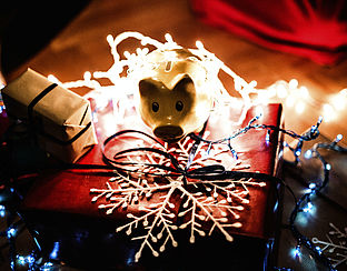 Kerstkaart en –boom populair, vuurwerk mag achterwege blijven