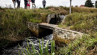 Grondwaterstand in delen van Nederland te diep weggezakt