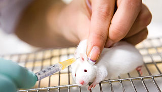 Medische experimenten met dieren zijn inefficiënt