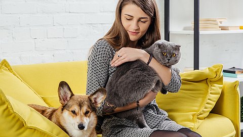 Chemische bestrijdingsmiddelen voor dieren tasten ook het baasje aan