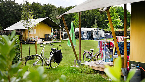 Steeds minder plek op vakantiebestemmingen in eigen land