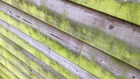 Groene aanslag verwijder je simpel en makkelijk met deze tien tips
