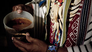 'Werkzame stof in hallucinogene drank ayahuasca niet levensbedreigend'