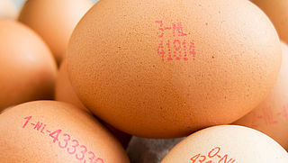 Eieren bevatten nog steeds fipronil 