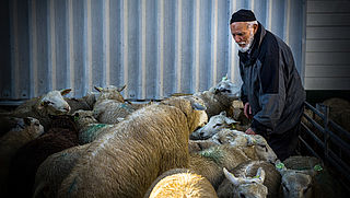 'Verbied het offeren van dieren'