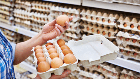10 eierbedrijven nog dicht om fipronil