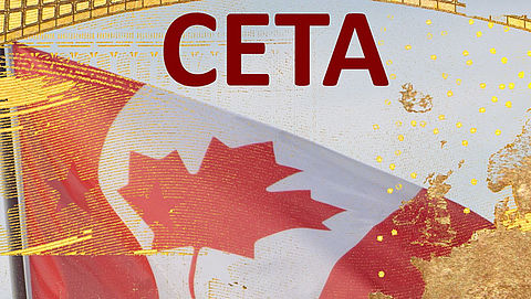 'Vrijhandelsverdrag CETA gaat tegen de grondwet in'