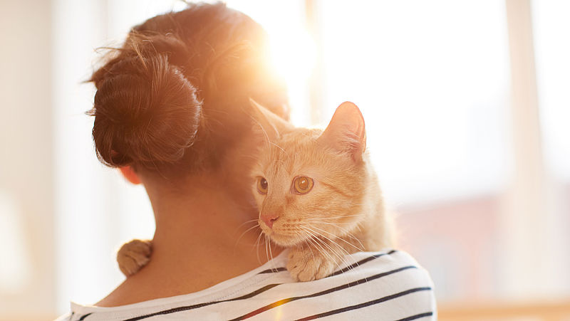 Heb je huisdieren? Wetenschappers waarschuwen voor hepatitis E