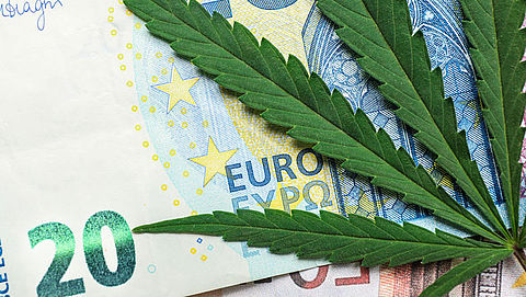 Kosten kweek eigen medicinale cannabis aftrekbaar