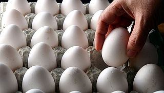 Eierverkoop trekt weer aan