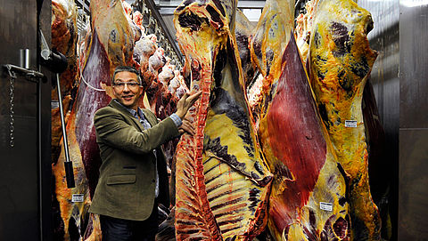 Rechtszaak tegen Nederlandse vleeshandelaren vanwege paardenvlees