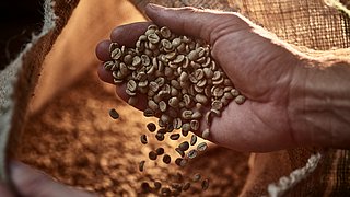 Veel misstanden in de koffie-industrie: hoe kies je ‘eerlijke’ bonen?