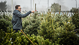 8 tips voor een groene kerstboom met Kerstmis