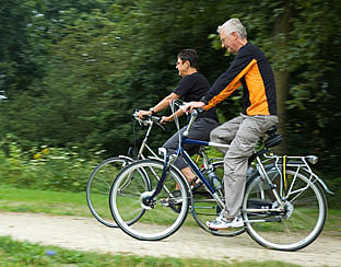 Paaltjes blijken ware plaag voor fietsers