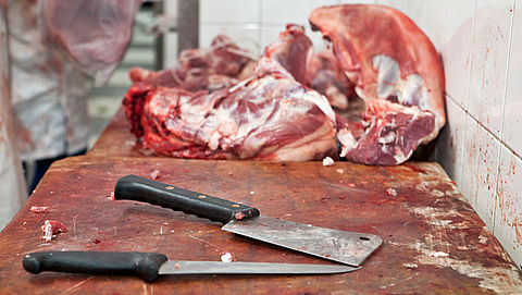 Inval bij mogelijk illegale vleesverwerker
