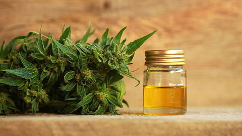 Maandag in Radar: CBD-olie | Rechtsbijstandverzekering
