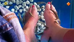 Fish spa