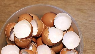 Eierschalen meteen weggooien? Gebruik ze in de tuin of als dierenvoer