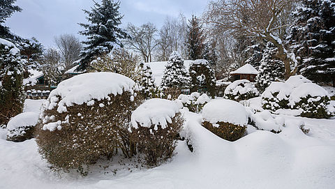 Zaterdag in Radar Radio: Hoe maak je je tuin winterklaar?