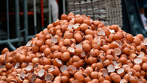 Fipronilbesmetting nu in 45 landen