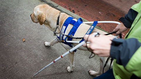 Alle stations in Nederland aangepast voor blinden en slechtzienden