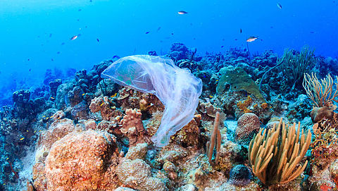 Verbod wegwerpplastic Caribisch Nederland in zicht