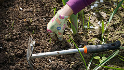 Duurzame tuin aanleggen: tips op een rijtje