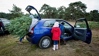 Krijg je een boete als je kerstboom uit de auto steekt?