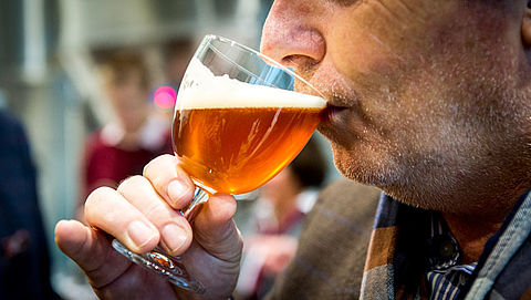 'Schimmelgif in ambachtelijk bier risico voor gezondheid bij dagelijkse inname'