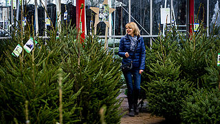 Met deze 8 tips heb je meer plezier van je kerstboom