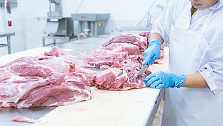 Steeds vaker poep op vlees in slachthuizen
