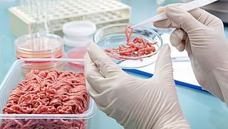 Europees Parlement wil antibiotica voor dieren indammen