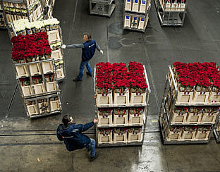 Eerlijke bloemen voor moederdag