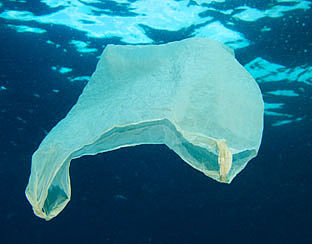 Uitvinder wil oceaan ontdoen van plastic