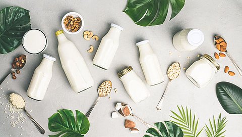 Melk vs. melkvervangers: Is soja-, amandel- of havermelk echt beter?
