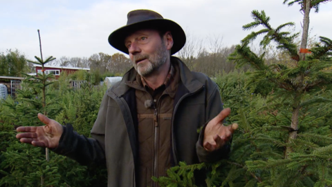 'Een echte kerstboom zit vol landbouwgif', wat zijn de alternatieven?