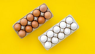 Zijn bruine eieren beter dan witte?