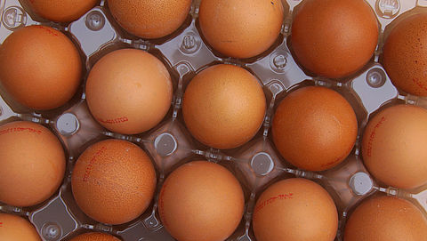 Wederom met fipronil besmette eieren in Tilligte