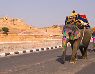 3D-petitie tegen olifantenleed
