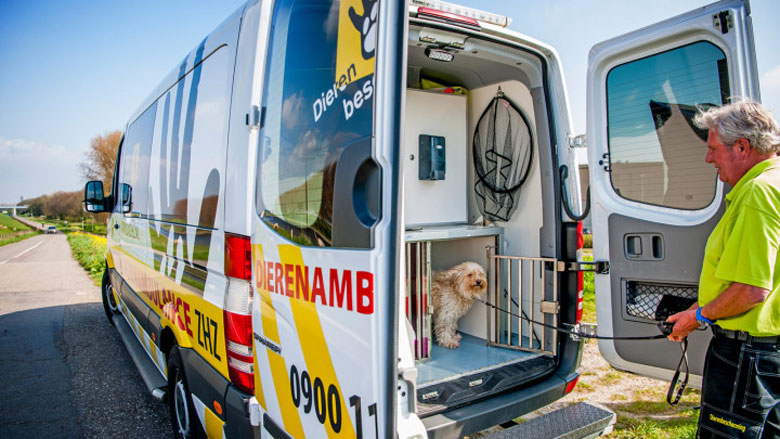 Wanneer is het nodig om de dierenambulance te bellen?