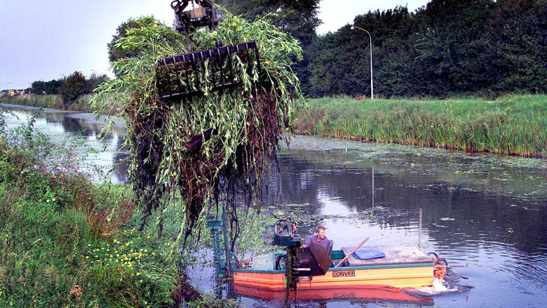 Vastlopende boten en verstrikte zwemmers door waterplanten