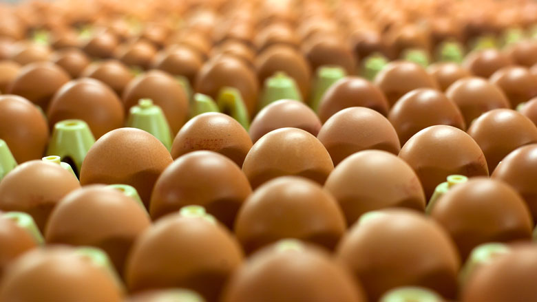 Fipronilspoor uit september 2016 gevonden in België