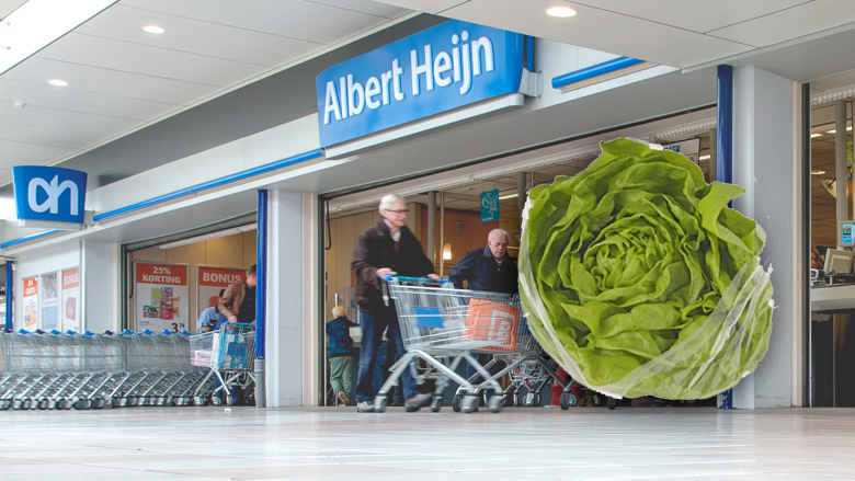 Albert Heijn-kropsla besmet met salmonella