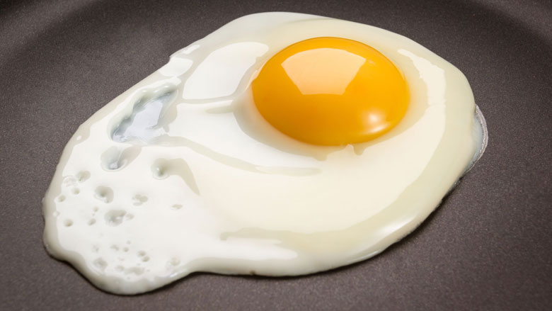 'België meldde eierprobleem pas na anderhalve maand'